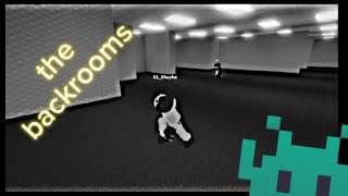 Habrá alguna salida en Los Backrooms (Roblox)