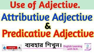 Adjectives//Attributive and Predicative Adjective এর ব্যবহার//English Grammar in Bengali.