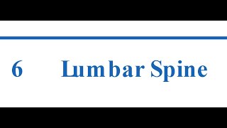 6 Espina lumbar