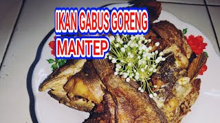 Goreng Ikan Gabus