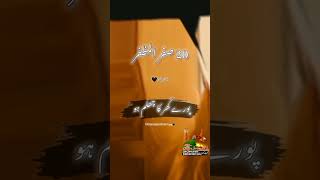 chehlum imam Hussain as #allamaasifrazaalvishortclips #status