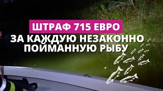 В этом году браконьеров оштрафовали почти на 21 тыс. евро