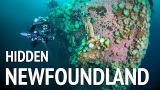 The Hidden Underwater Geography of Newfoundland Canada