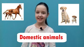 Домашние животные на английском языке. Domestic animals and their kids.