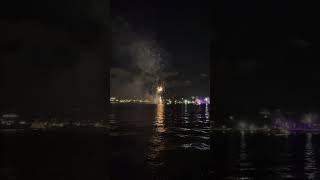 Fireworks in Sydney | Travel Diaries | Sydney Harbour |  Opera House | Luna park | Night view