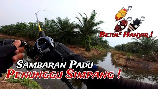 MENGGASAK HARUAN DI PARIT LADANG VIRAL SEPANG || SOFTFROG SUPERHERO MENCAKUK BERTUBI-TUBI !!