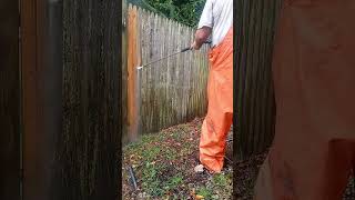 Pressure washing a filthy picket fence #satisfyingpressurewashing #pressurewashing