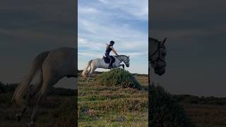 Jumping bushes on the forest! #equestrian #horseriding #showjumping #horsebackriding #hacking