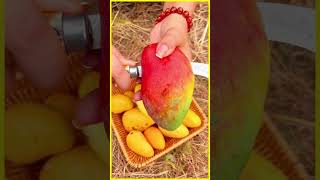 Mango Odd Shaped Peeling ASMR #oddlysatisfying