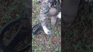 Комрад с Тёркой уделал всех! Коп с металлоискателем X-Tera #metaldetecting #копмонет #копновое #коп