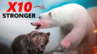 How Strong Is A Polar Bear Compared To Other Bears