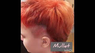 Mullet