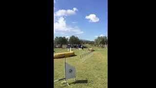 Gara Agility 20/09/2015 csen avviamento