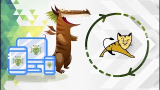 How to Install an SSL Certificate in Tomcat | SSL Dragon