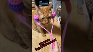 New 😼 High-Tech Gadgets For Your Cat and Dog 🐕‍🦺 Gadgets for pets-PetTechnology🦮 @petsuply 😼 #shorts