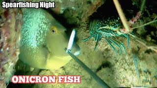 NIGHT SPEARFISHING🇮🇩, Berburu Ikan di SPOT ANGKER banyak ikan Cantik.