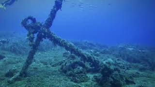 L'ancorone dello Scoglietto di Portoferraio. Immersioni Isola d'Elba