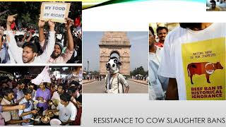 Cow Vigilantism Resistance Violence