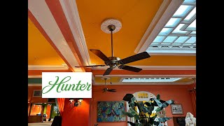 Hunter Studio Series Ceiling Fan 3 of 6