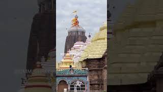 SunyaMandireBihara #trending #jagannath #viralshort #short #puri #purijagannath #odiastatus