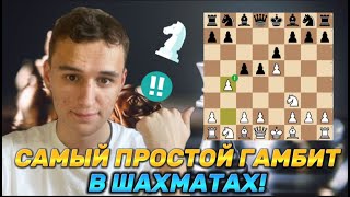 ГАМБИТ КРЫЛА! 5 ПРОСТЫХ ЛОВУШЕК, Которые РЕАЛЬНО РАБОТАЮТ!