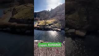 #Furumine Shrine, Kanuma City, Tochigi Prefecture, Japan