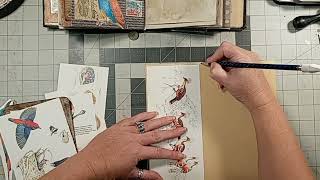 Bird Journal Process Video #11