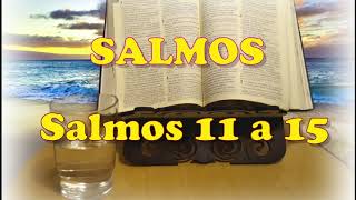 Salmos 11 a 15