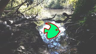 Рыбацкое Место или Разведка Боем ✓ Fishing Place or My Second Shorts Video