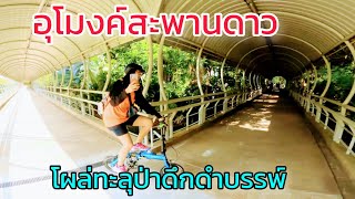 ปั่นจักรยาน ข้ามอุโมงค์สะพานดาว มาสัมผัสป่าดึกดำบรรพ์