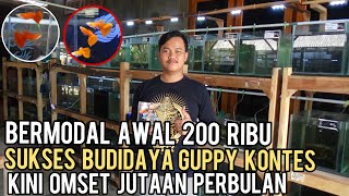 PEMUDA INI SUKSES BUDIDAYA IKAN GUPPY KONTES || BERMODAL AWAL 200 RIBU KINI OMSET JUTAAN  PER BULAN