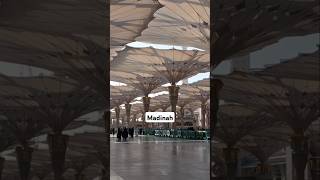 Madinah Al Munawwarah #madina #madinah #shorts