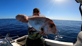 TEASER - Snapper Season Closes, Whales are Breaching, Drones are Flying!