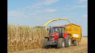 Mais hakselen met een john deere 6950/ Fendt/ Massey ferguson/ dewa/ Loonwerken David Elsen