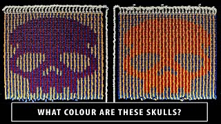 What Colour Are These Skulls? (The Munker/Bezold Optical Illusion in 12,000 Dominoes)