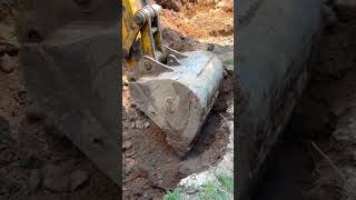 Contractors Working on a Septic Replacement