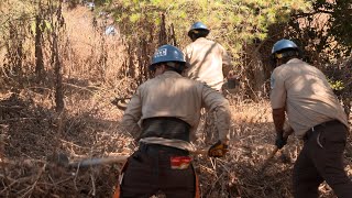 Corpsmembers Keep LA's Open Space Park Safer From Wildfire