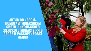 Актив ОО «БРСМ» помогает монахиням в сборе и рассортировке яблок