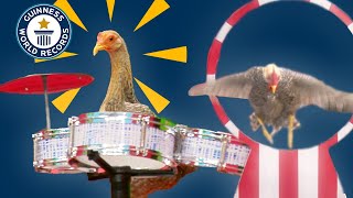 Super-fast CHICKEN breaks World Record! | Guinness World Records