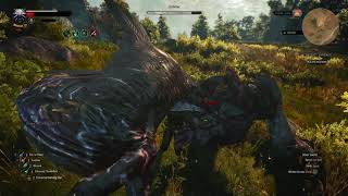 How to beat the Shrieker Contract in the Witcher 3