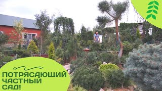 Путешествие в супер- сад мечты! Хвойный парк год спустя. Journey to the Super Garden of Dreams!