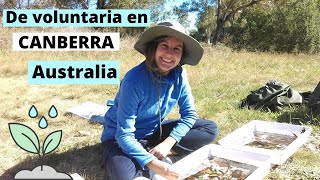 Conoce acerca de un VOLUNTARIADO en Australia, Waterwatch ACT | Ingeniera ambiental en Australia