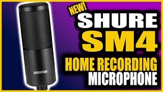 Reviewing The New Shure SM4 Microphone