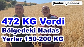 Çankırı - Arpa Gübreleme - Arpada Yaprak Gübresi Bölgeye Göre 2-3 Kat Verim Fark Oluşturdu