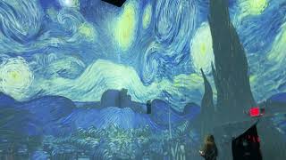 Starry night at Van Gogh Experience