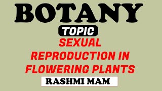 sexual reproduction by rashmi mam | botany | dna nursing coaching-19-04-2023