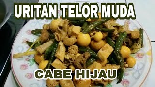 Uritan Telor Muda Cabe Hijau