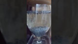 Chia Seeds Drink #chiaseedsforweightloss #chiaseedsdrink #chiaseeds #weightloss #trend2023 #shorts