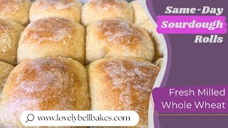 Same-Day Fresh Milled Sourdough Rolls