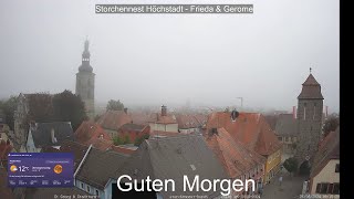 2024 08 26 Storchennest Höchstadt, Flugverbot wegen Nebel, Frieda und Gerome bleiben im Nest🤣🤣🤣